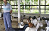 Overwhelming Response for Goat Farming in Dakshina Kannada
